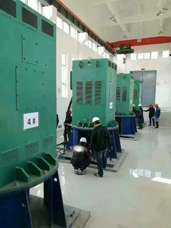 YKK8006-4某污水处理厂使用我厂的立式高压电机安装现场